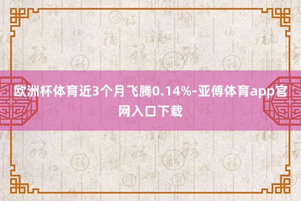 欧洲杯体育近3个月飞腾0.14%-亚傅体育app官网入口下载