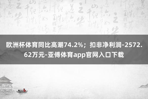 欧洲杯体育同比高潮74.2%；扣非净利润-2572.62万元-亚傅体育app官网入口下载