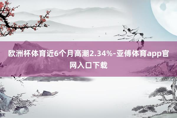 欧洲杯体育近6个月高潮2.34%-亚傅体育app官网入口下载