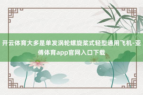 开云体育大多是单发涡轮螺旋桨式轻型通用飞机-亚傅体育app官网入口下载