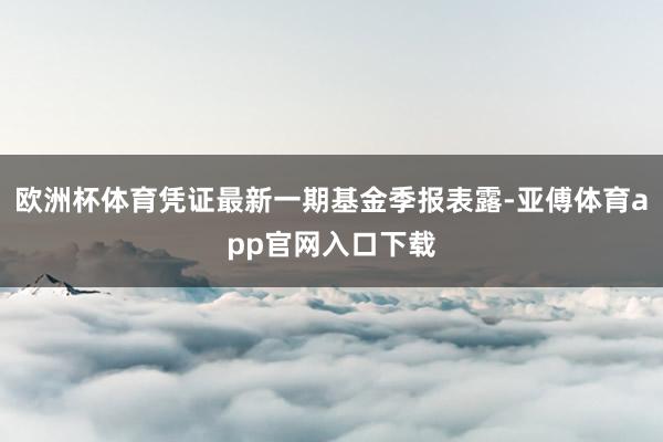 欧洲杯体育凭证最新一期基金季报表露-亚傅体育app官网入口下载